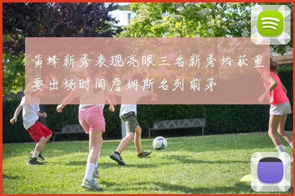 黄蜂新秀表现亮眼三名新秀均获重要出场时间詹姆斯名列前茅