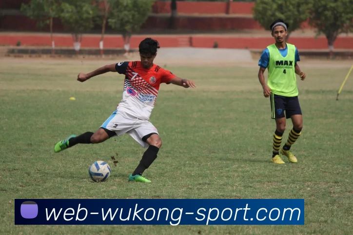 悟空体育发展历程